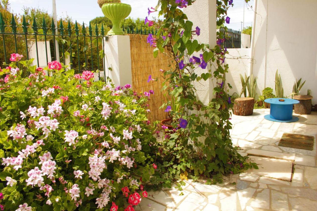 Hostal Natural Mystic *