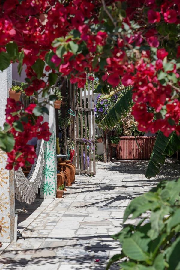 Hostal Natural Mystic