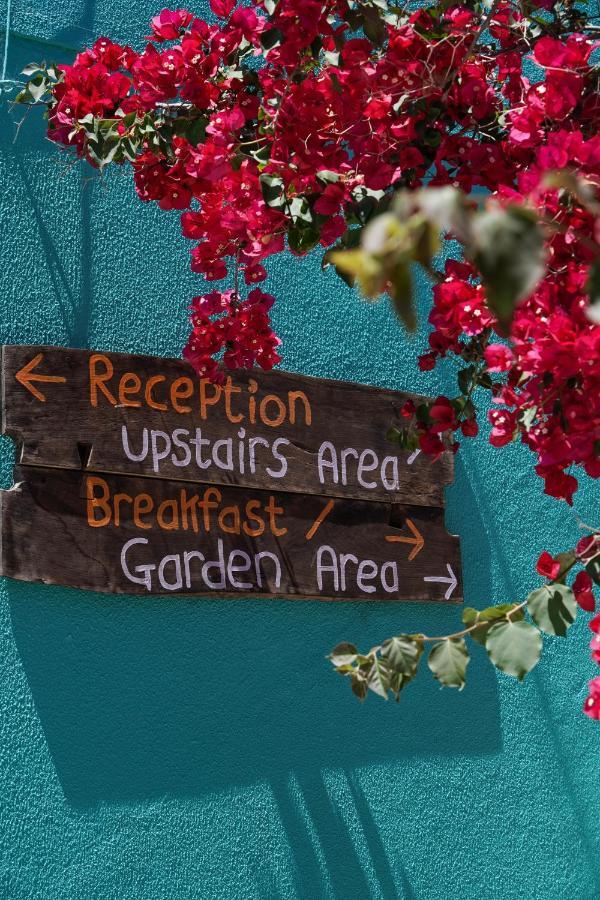 Hostal Natural Mystic *